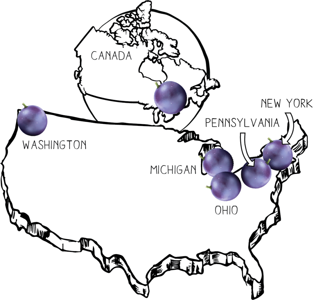 CGJ USA map